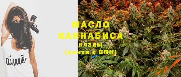 спиды Вяземский