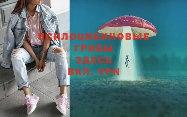 ГАЛЛЮЦИНОГЕННЫЕ ГРИБЫ Волосово