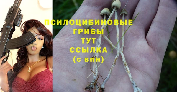 ГАЛЛЮЦИНОГЕННЫЕ ГРИБЫ Волосово