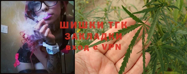 ГАЛЛЮЦИНОГЕННЫЕ ГРИБЫ Волосово