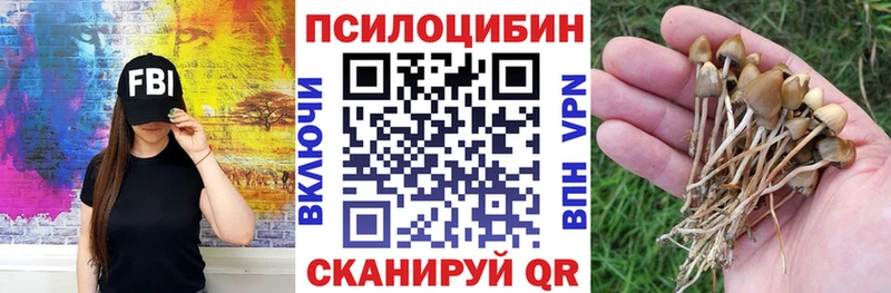 Купить  Костерёво  Псилоцибиновые грибы Cubensis 